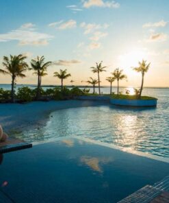 Thiên nhiên - Nơi nuôi dưỡng tâm hồn